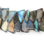 15-16mm Labradorite Faceted Fancy Briolette 7 inch 55 Beads AA