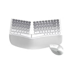 Wireless Keyboard & Mouse Combo - 85-Key RGB Keyboard