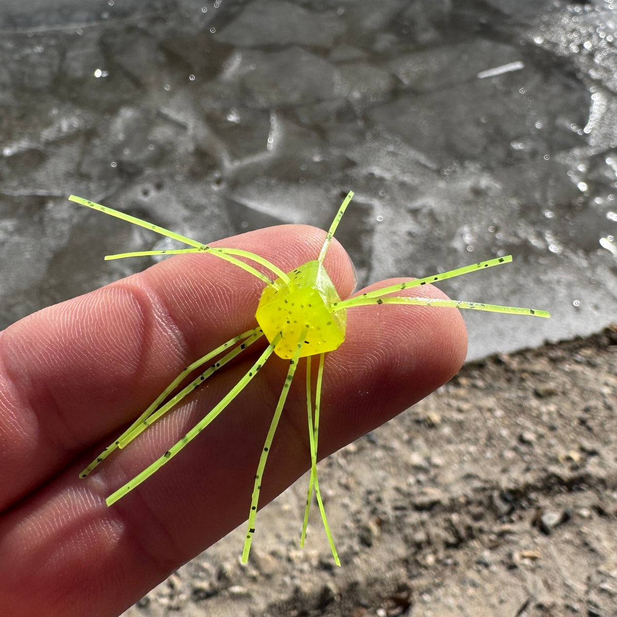 Pannie Tickler