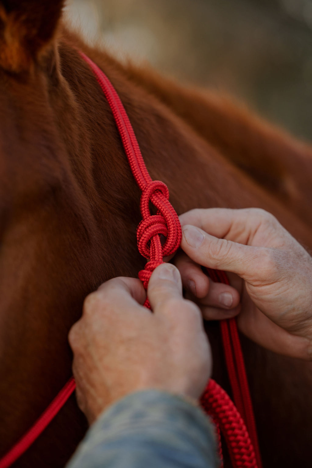 4 Knot Halter and Lead Set