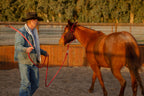 4 Knot Halter and Lead Set