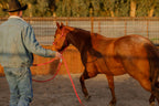 4 Knot Halter and Lead Set