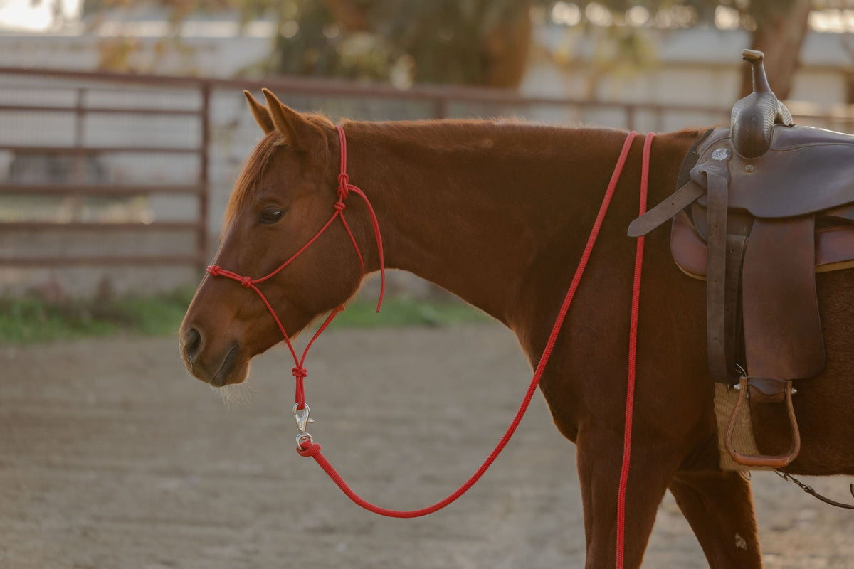 4 Knot Halter and Lead Set