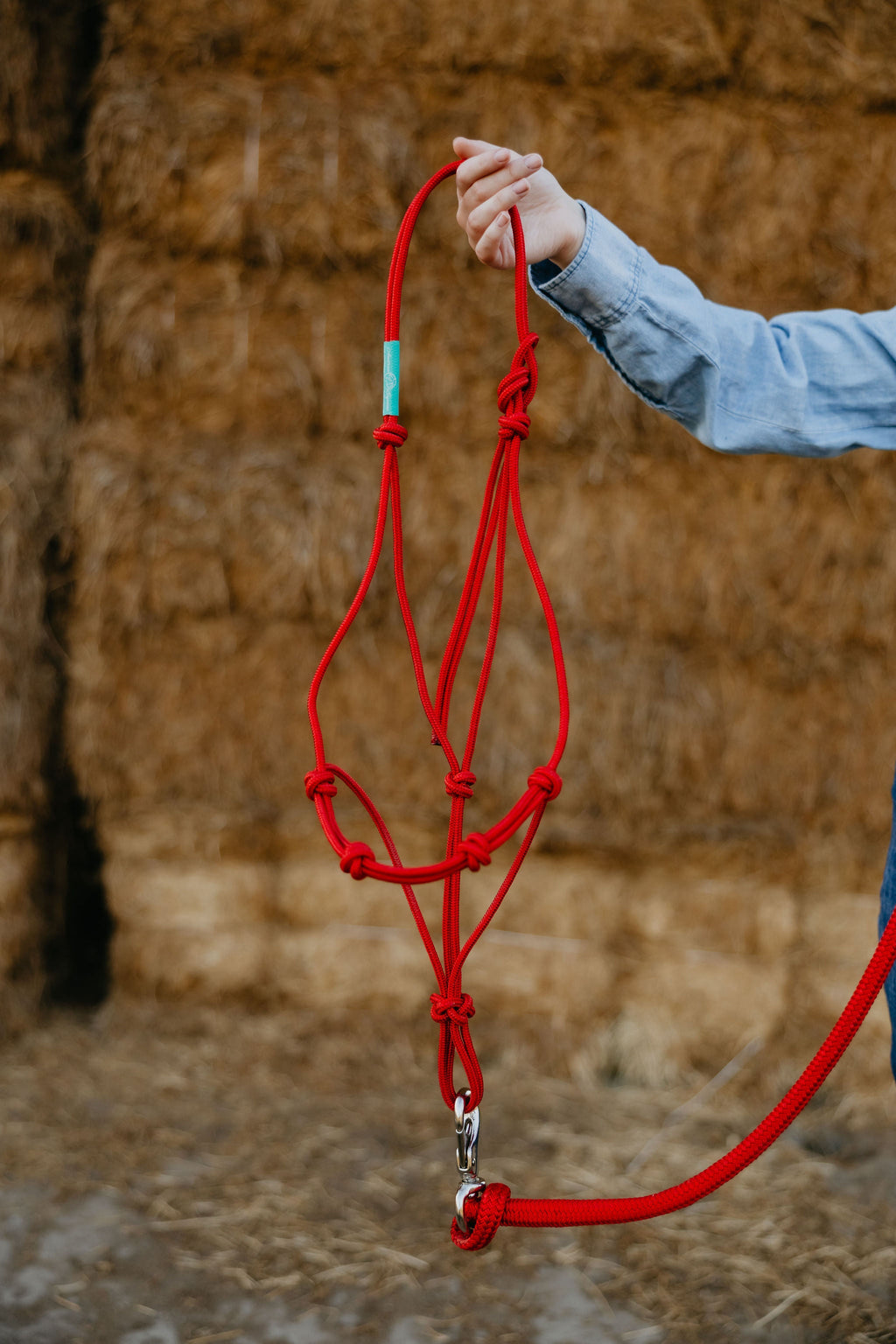 4 Knot Halter and Lead Set