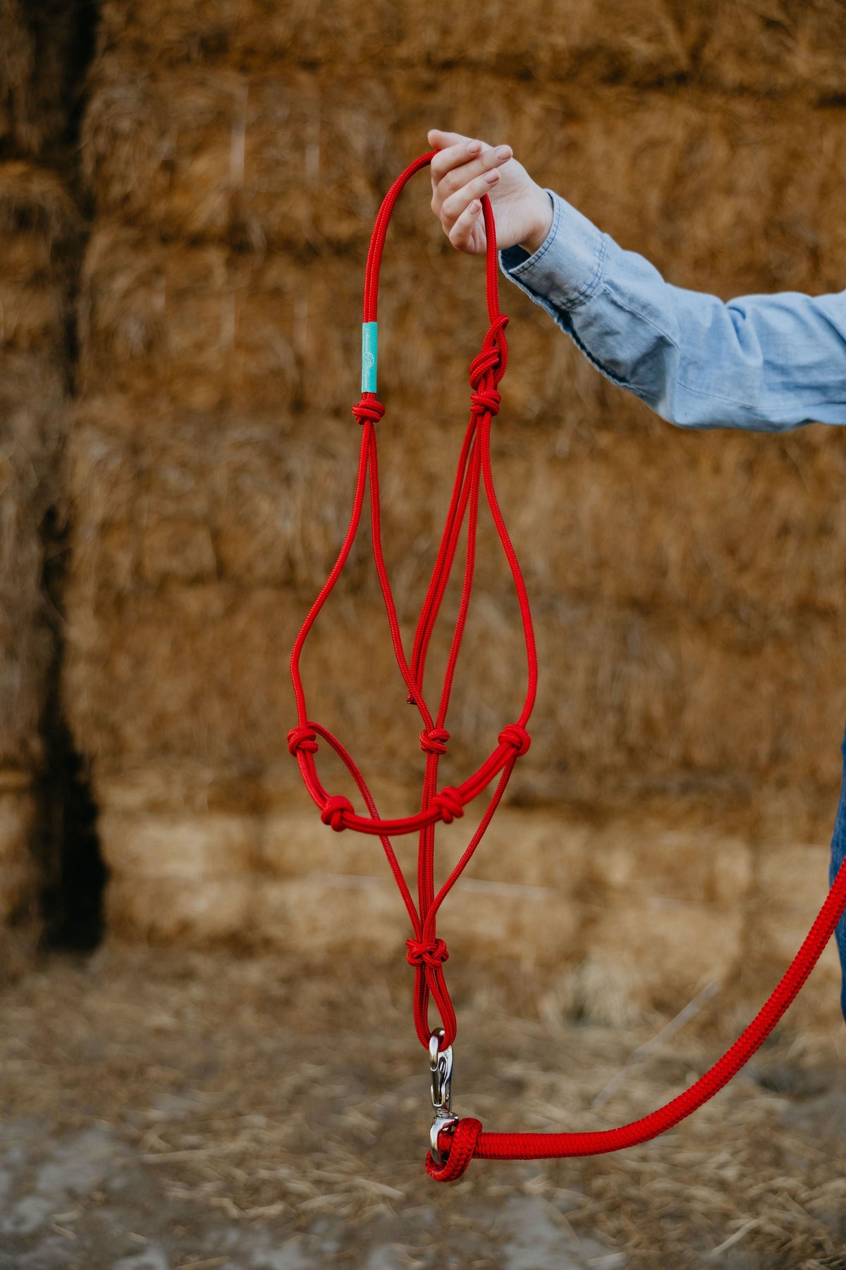 4 Knot Halter and Lead Set