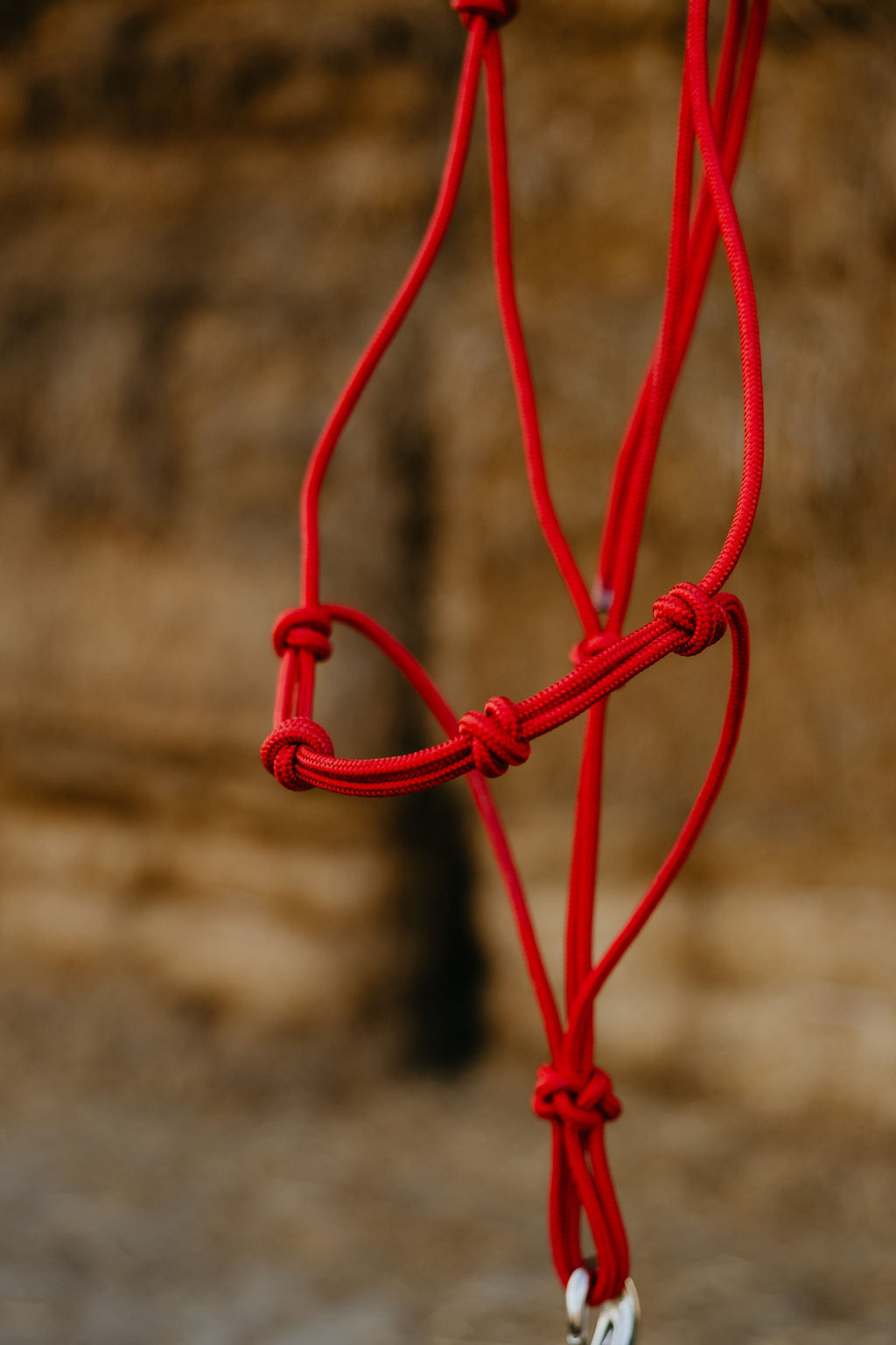 4 Knot Halter and Lead Set