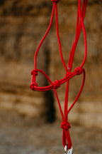 4 Knot Halter and Lead Set