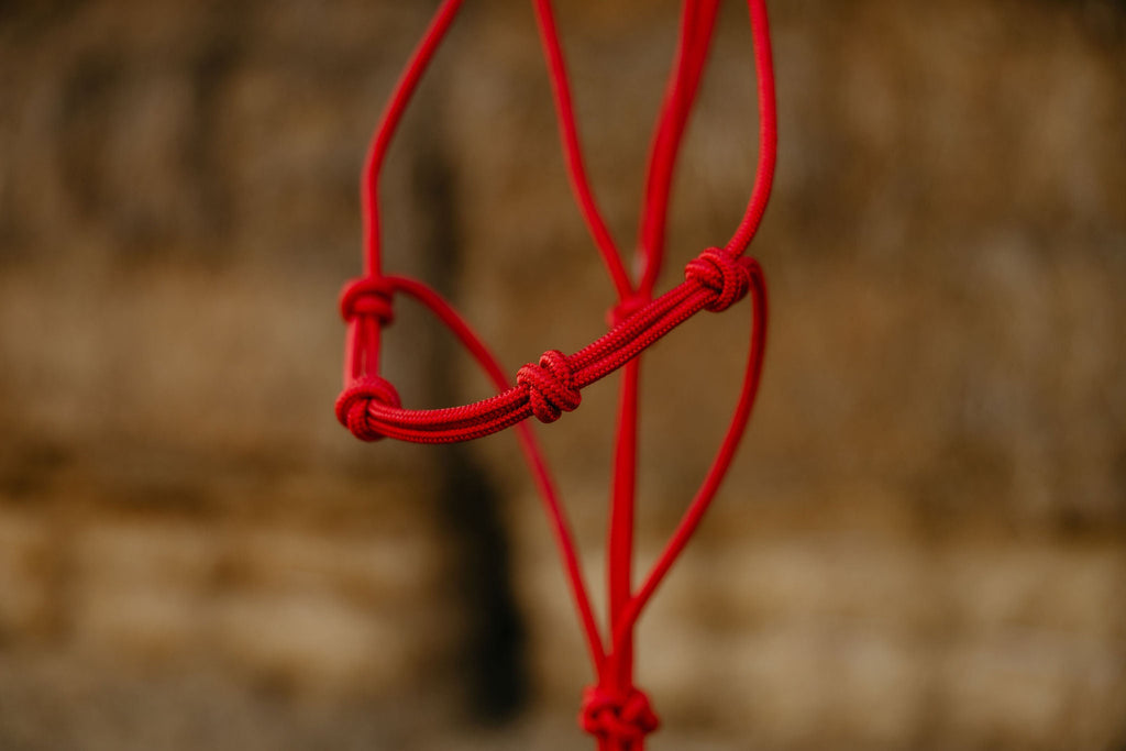 4 Knot Halter and Lead Set