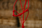 4 Knot Halter and Lead Set