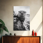 Curious Otter, Coastal Wildlife, Black and White, Animal Photography, Framed Canvas Print, Bathroom Wall Art, Nature Lover Gift