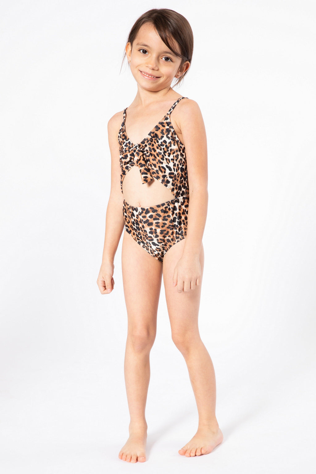 F1808-Cheetah