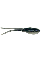 Wicked Shad