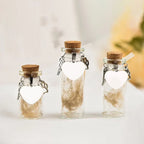 Pet Memorial Bottle for Pet Hair Dogs Cats | Fur Keepsake Storage with 3 Silver Accessories