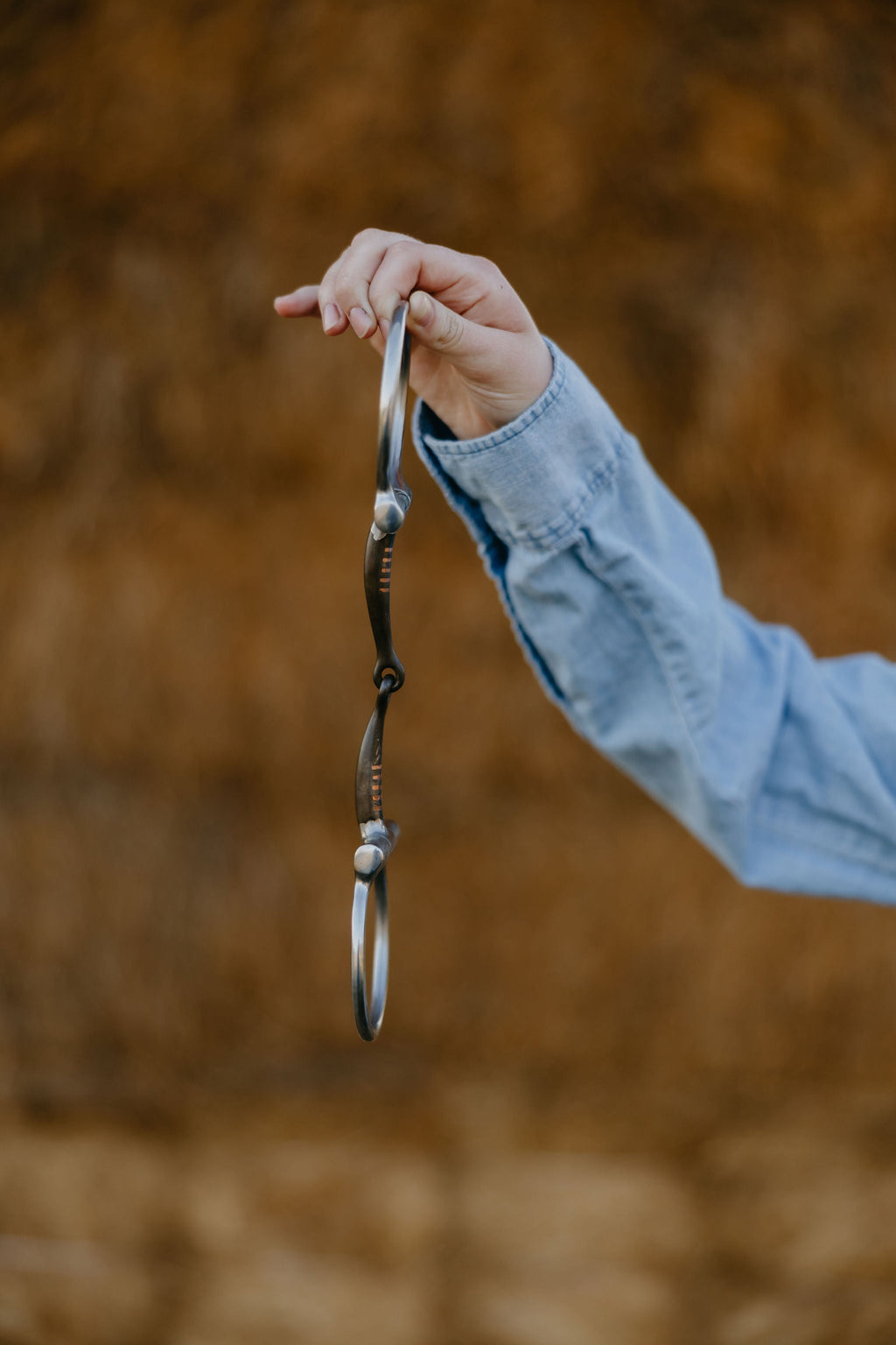 Sweet Iron Smooth Dee Snaffle