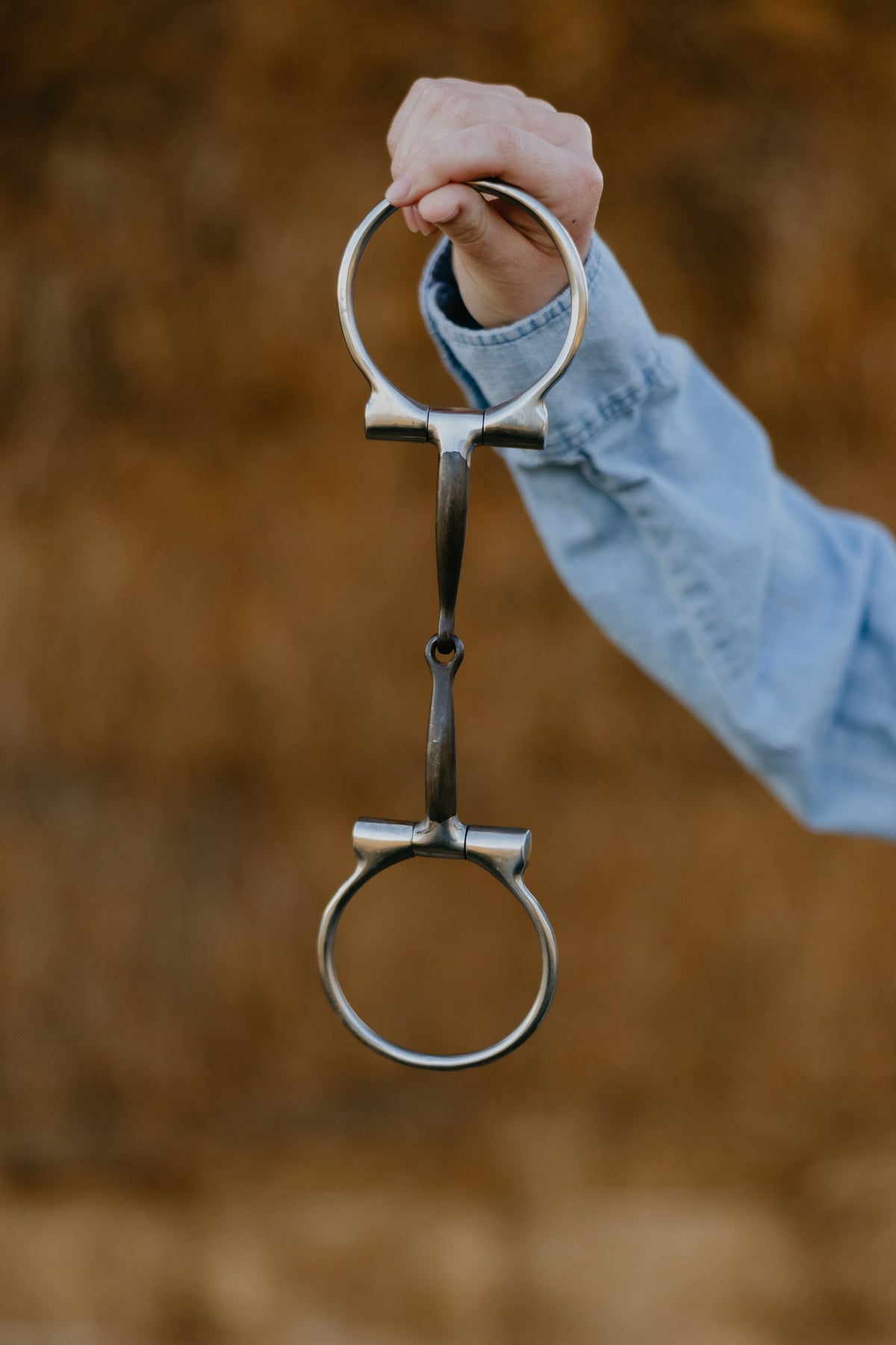 Sweet Iron Smooth Dee Snaffle