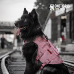 Tactical No-Pull Dog Harness – Mesh MOLLE Vest with Dual Handles