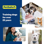 PetSafe NanoBark 2.0 Bark Collar for Small Dogs Rechargeable Waterproof
