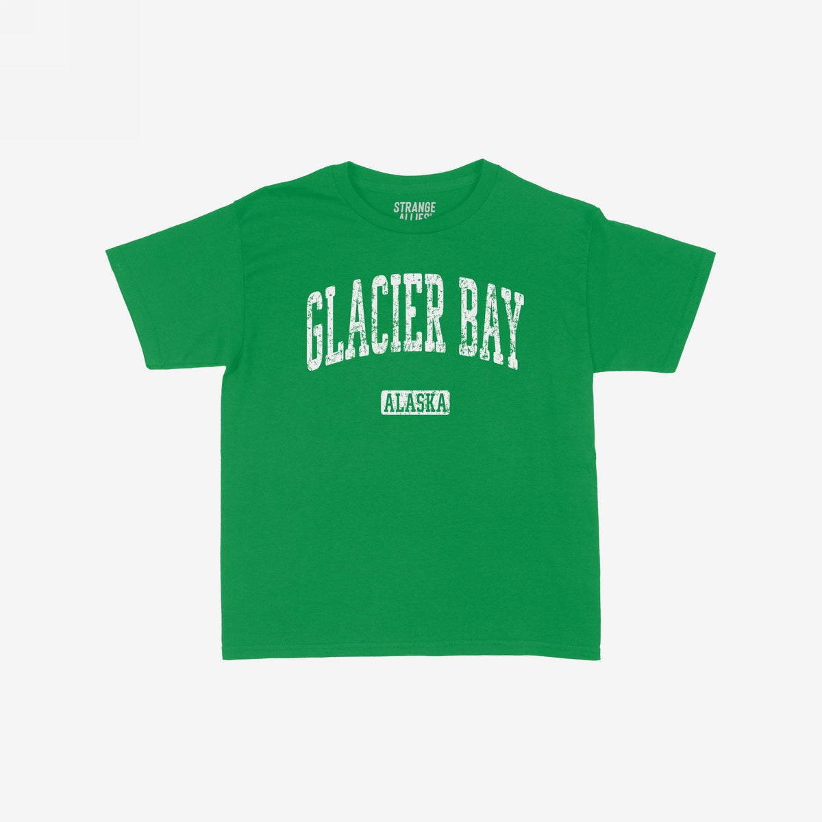 Glacier Bay Alaska Women's Baby Tee
