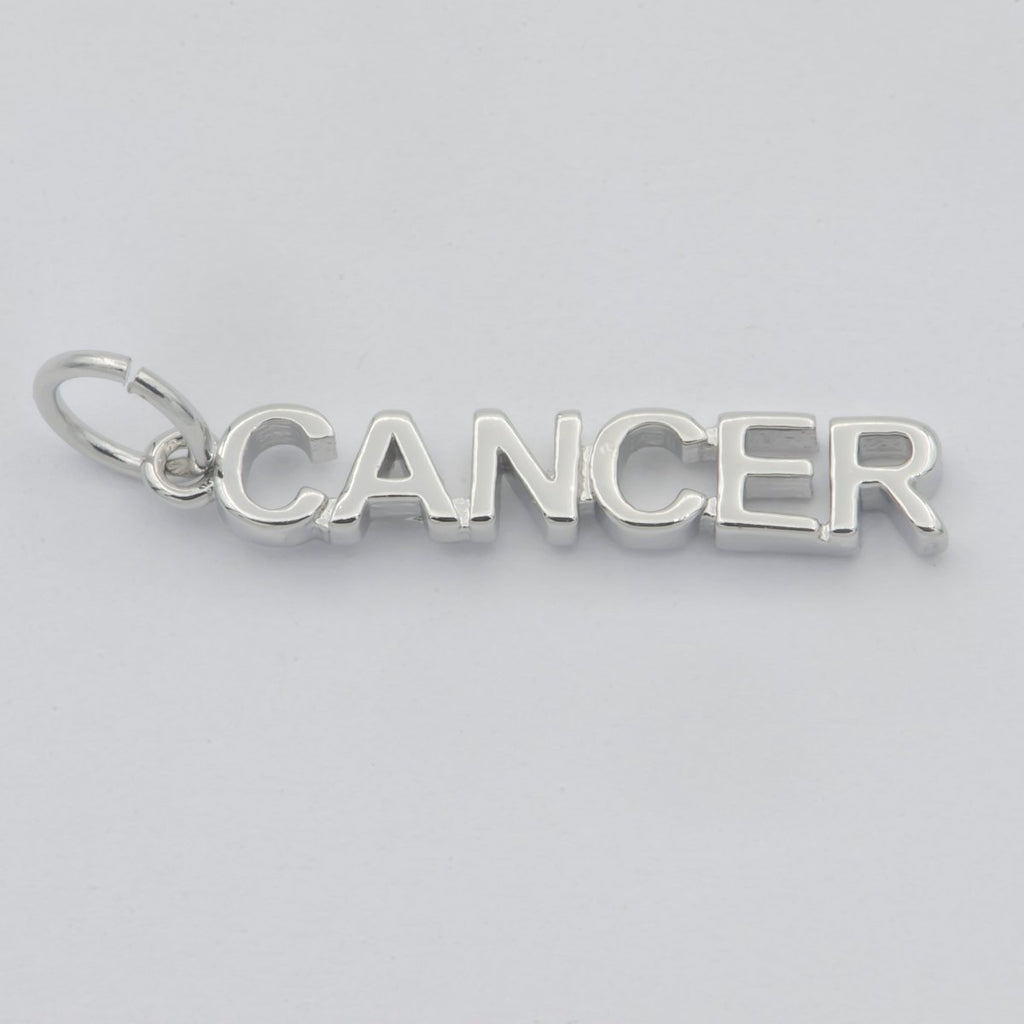 Gold Filled Zodiac Sign Script Words Mini Charm in Gold & Silver | A-A1815-A-A1820 | A-A1839-A-A1844