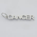 Gold Filled Zodiac Sign Script Words Mini Charm in Gold & Silver | A-A1815-A-A1820 | A-A1839-A-A1844
