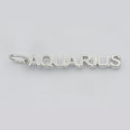 Gold Filled Zodiac Sign Script Words Mini Charm in Gold & Silver | A-A1815-A-A1820 | A-A1839-A-A1844