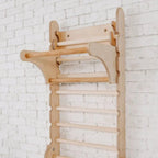 Gym Addition to the Climbing Ladders