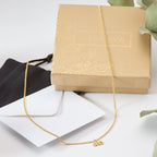January 21st Aquarius Necklace