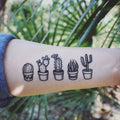 Potted Cactus Temporary Tattoo