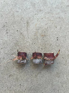 2 Dark Purple Sugarcane Rooted Cuttings Live Sugar Cane Plants Ready for Planting Garden Growing
